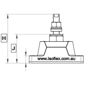 IFV Type S